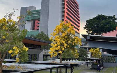 Romanticizing UNPAR: Berkembang Menuju Greater and Stronger